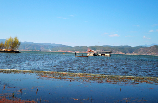 云南 拉市海 湖泊 湿地