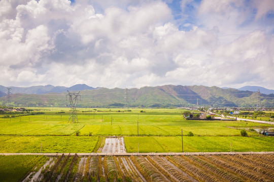 青翠田园风光