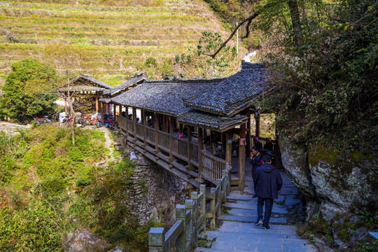 桂林龙胜龙脊梯田平安寨观景区