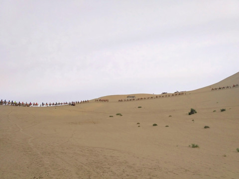 沙漠游客骑骆驼