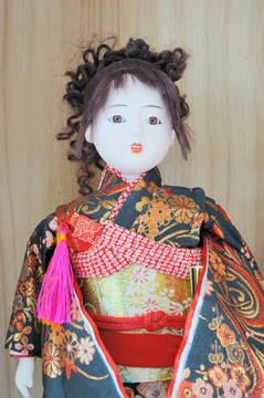 日本布偶