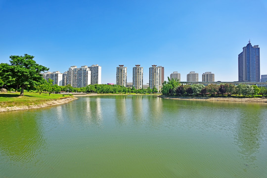 上海 上海松江区