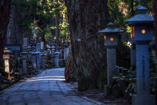 日本高野山奥之院参拜道石灯