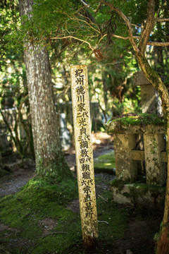 日本高野山奥之院德川家墓所