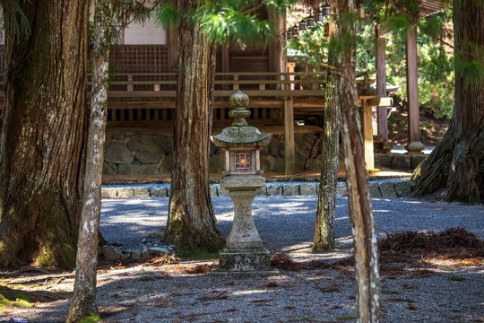 日本高野山坛上伽蓝石灯