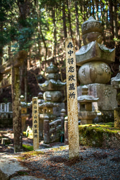 日本高野山奥之院参拜道墓所