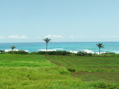 海滩绿地