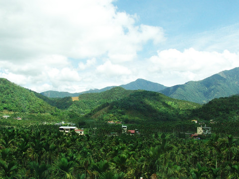 森林风景