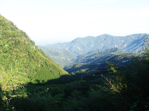 森林风景