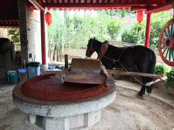 驴拉磨 辣椒面 关中美食