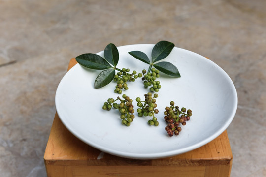 花椒 藤椒 青花椒 麻椒