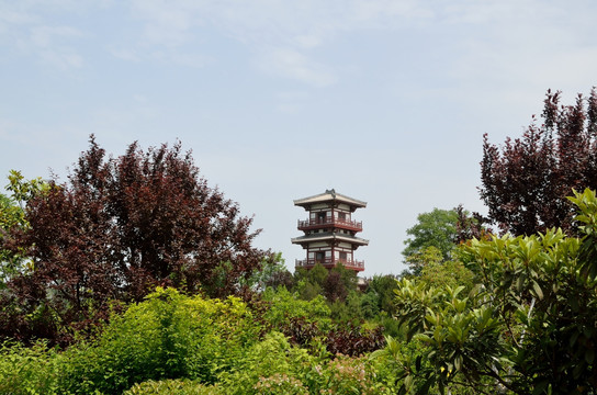 宝鸡植物园 景观 园林