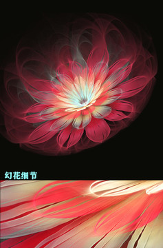 幻花