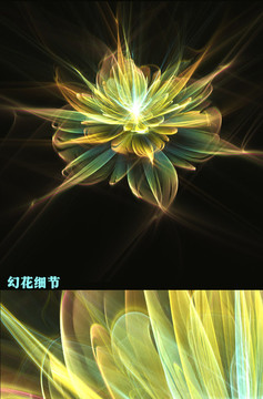 幻花