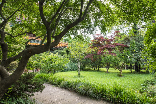 孙中山纪念馆后花园