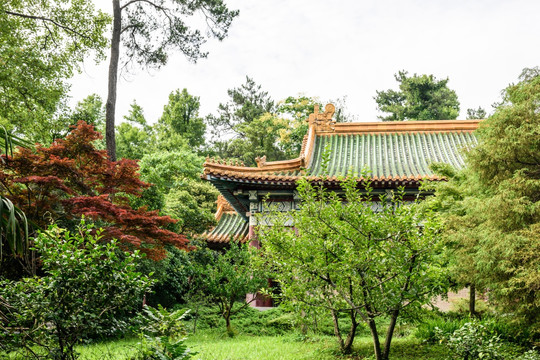 孙中山纪念馆后花园