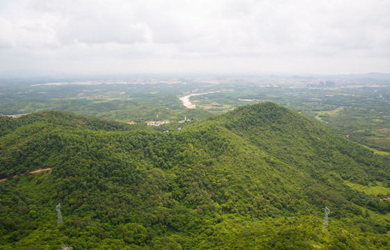 高山 树林 绿色