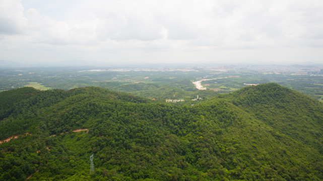 树林 高山 大垌山