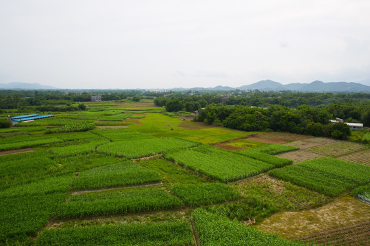 田野 航拍