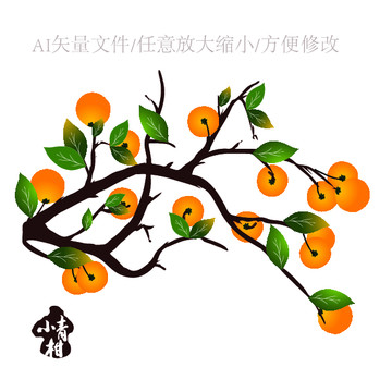 青柑 柑普茶包裝