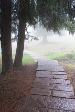 雨雾中的山路