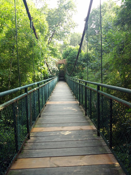 木质走廊吊桥