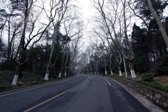 南京 中山陵 孙中山 道路