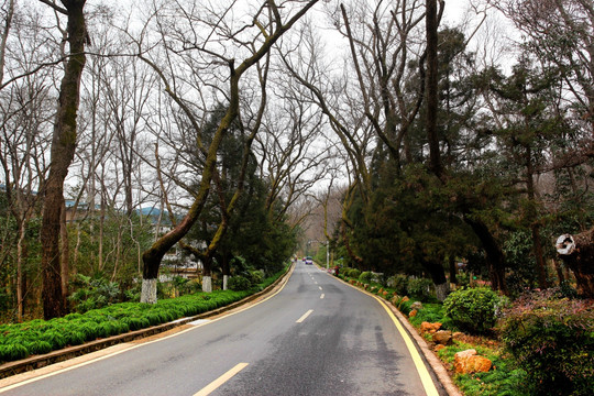 南京 中山陵 道路