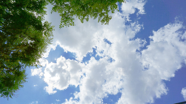 天空绿树摄影图