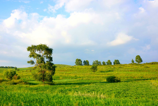 草原风景