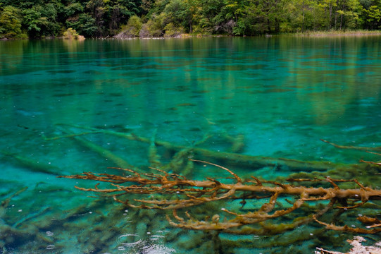 九寨沟