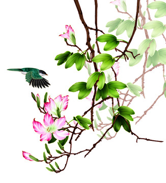 花 鳥