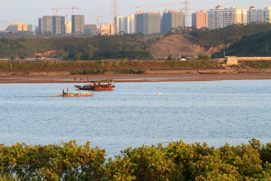 防城港 红树林风光