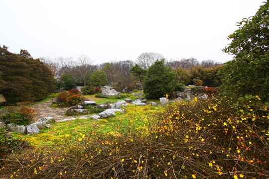 南京 紫金山 公园