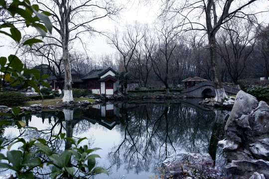 南京 总统府 园林