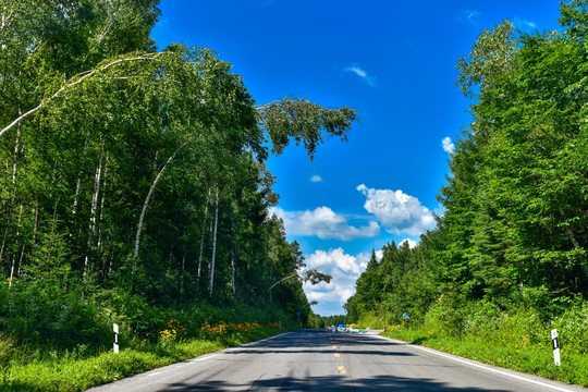 美丽的公路