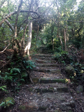 绿荫山路