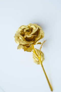 金玫瑰