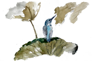荷花小鳥(niǎo)