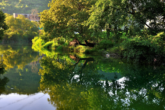 山涧溪流