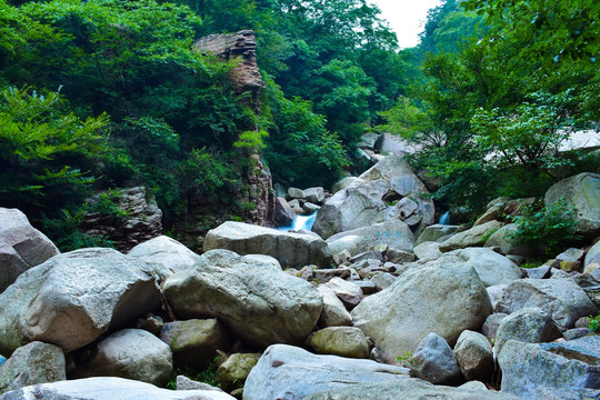 山谷山林