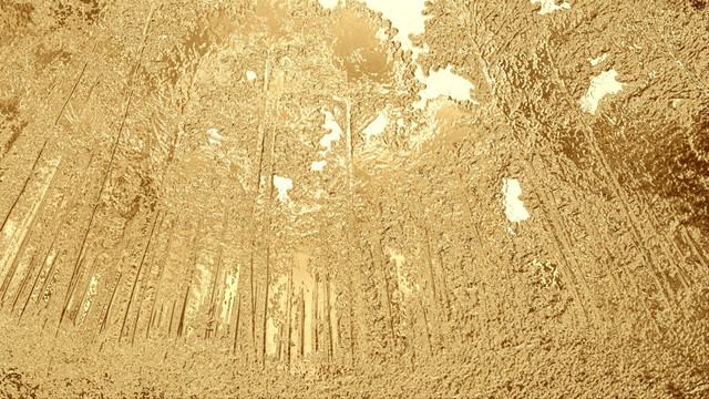 金屬質感