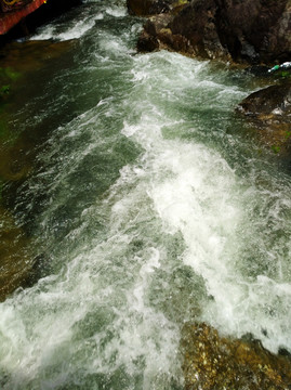 泉水 溪流 水 湍急的泉水 山