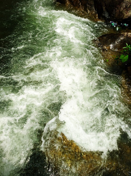 泉水 溪流 水 湍急的泉水 山