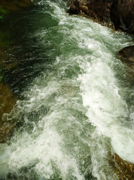 泉水 溪流 水 湍急的泉水 山