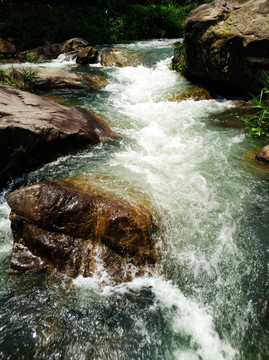 泉水 溪流 水 湍急的泉水 山