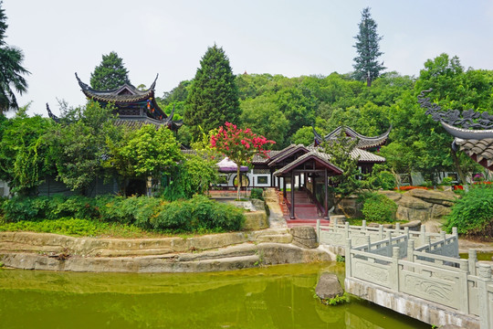 中式园林水景 九曲桥