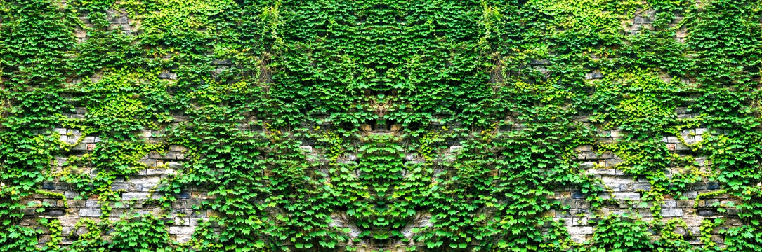 绿叶园艺绿雕植物图案绿植墙