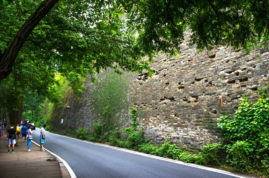 南京明城墙林荫路