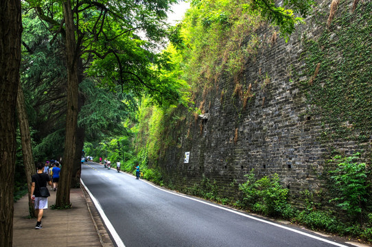 明城墙道路林荫道